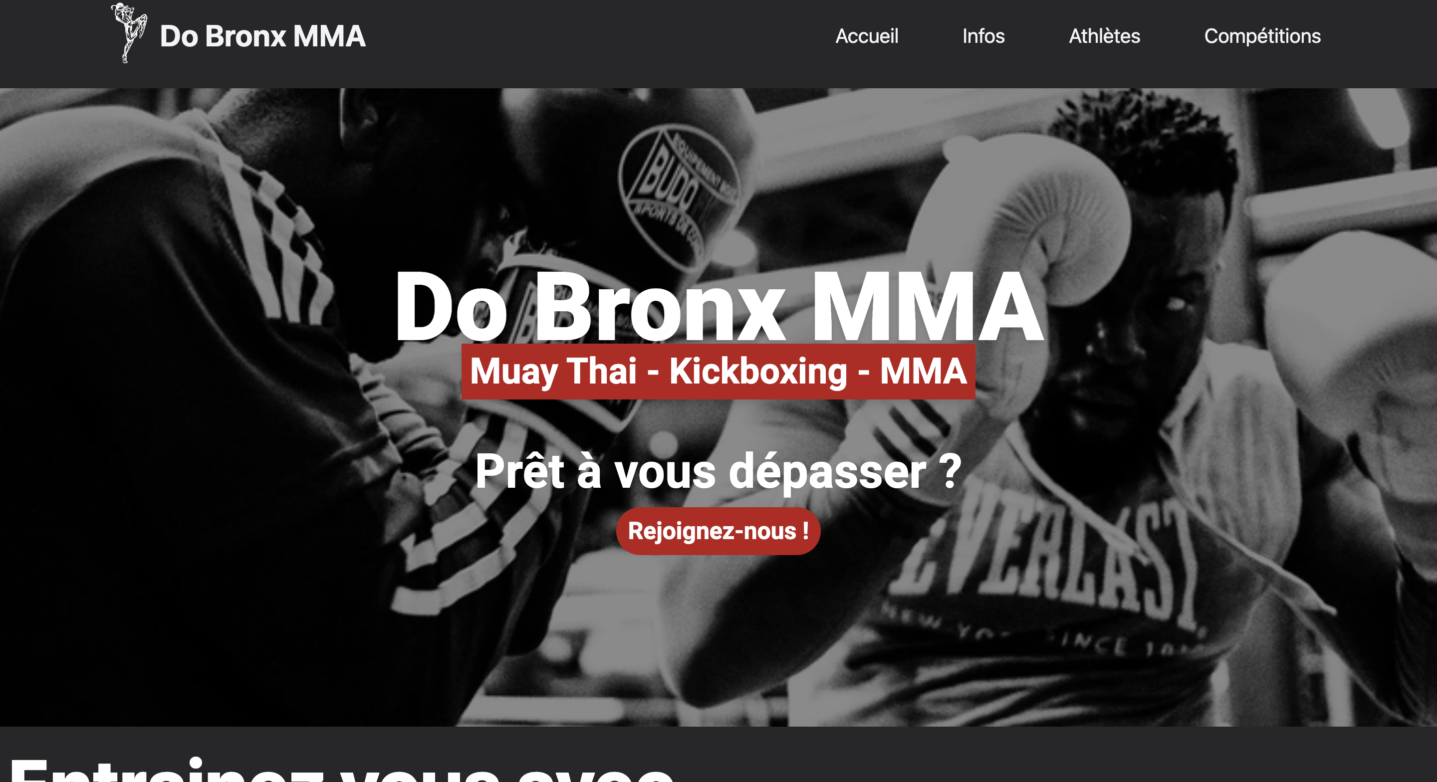 Capture d'écran du site Do Bronx MMA